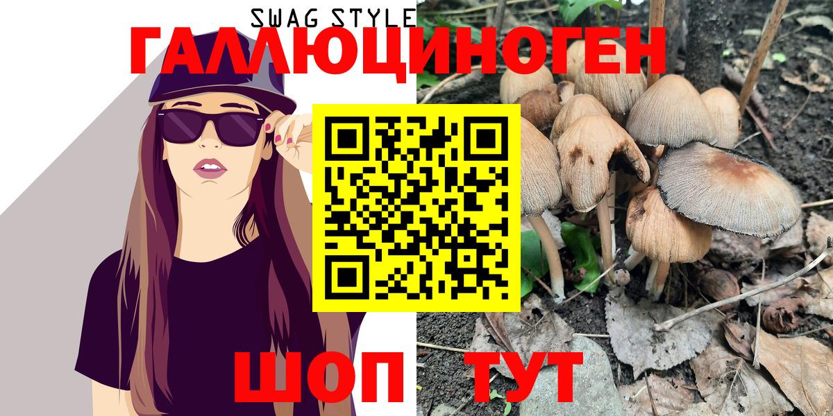 Галлюциногенные грибы MAGIC MUSHROOMS  Вход с VPN  Малоярославец 